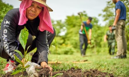 Aktivitas Sosial Yang Bisa Membawa Dampak Positif