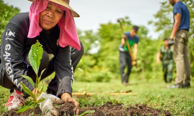 Aktivitas Sosial Yang Bisa Membawa Dampak Positif