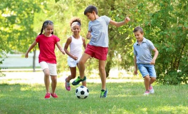 Ragam Aktivitas: Pilihan Dan Manfaat Untuk Kehidupan Sehari-Hari