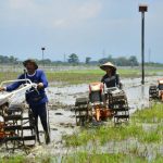 Ragam Kehidupan Modern: Perubahan Gaya Hidup Dan Sosial