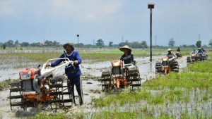 Ragam Kehidupan Modern: Perubahan Gaya Hidup Dan Sosial