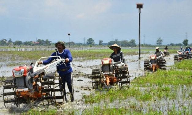 Ragam Kehidupan Modern: Perubahan Gaya Hidup Dan Sosial