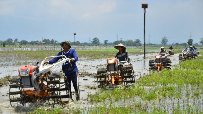 Ragam Kehidupan Modern: Perubahan Gaya Hidup Dan Sosial